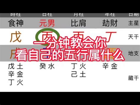 如何看五行屬什麼